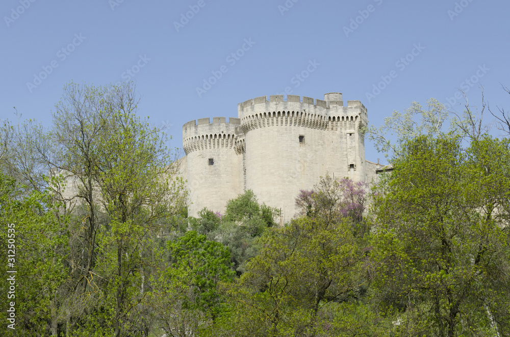 Fort Saint André à Villeneuve lez Avignon