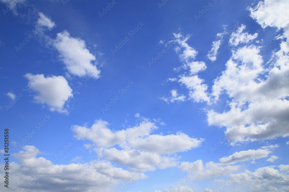 Obraz premium 青空と白い雲