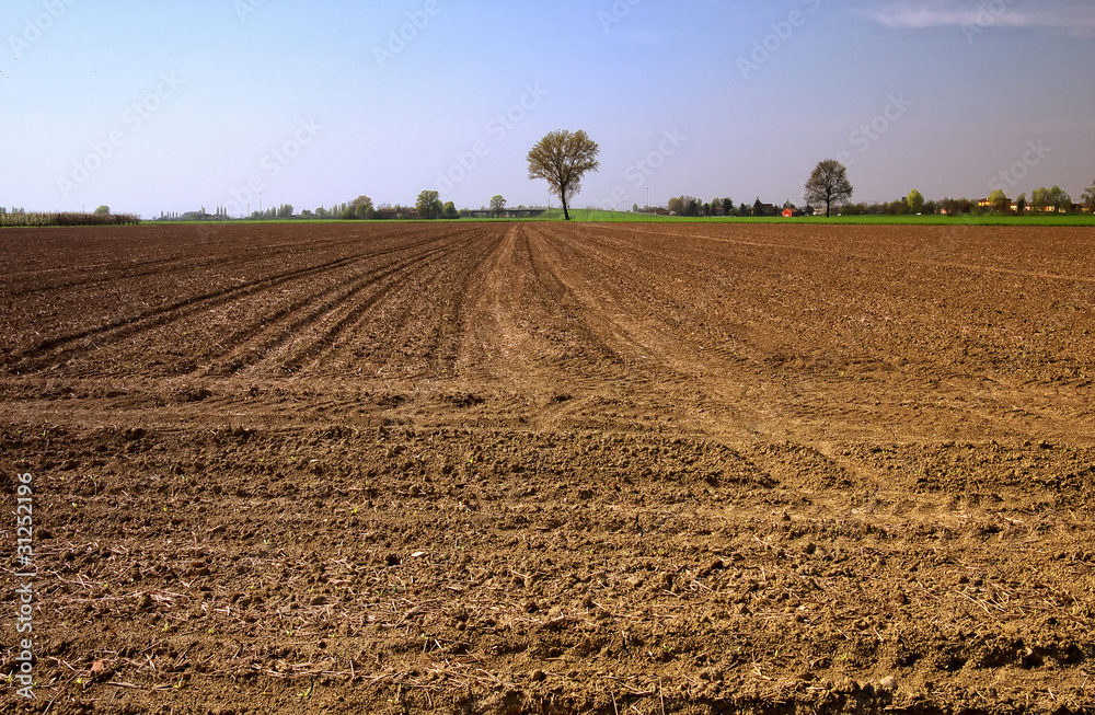 campi arati Stock Photo Adobe Stock