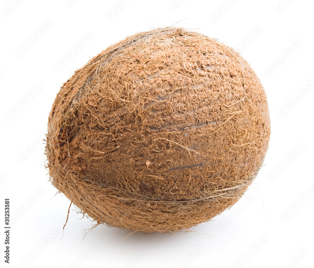 coconut coconut