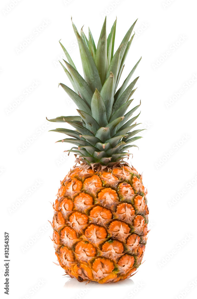 Fototapeta premium pineapple