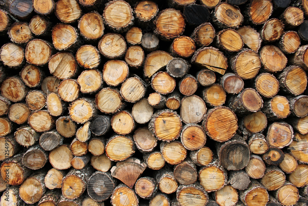 timber timber