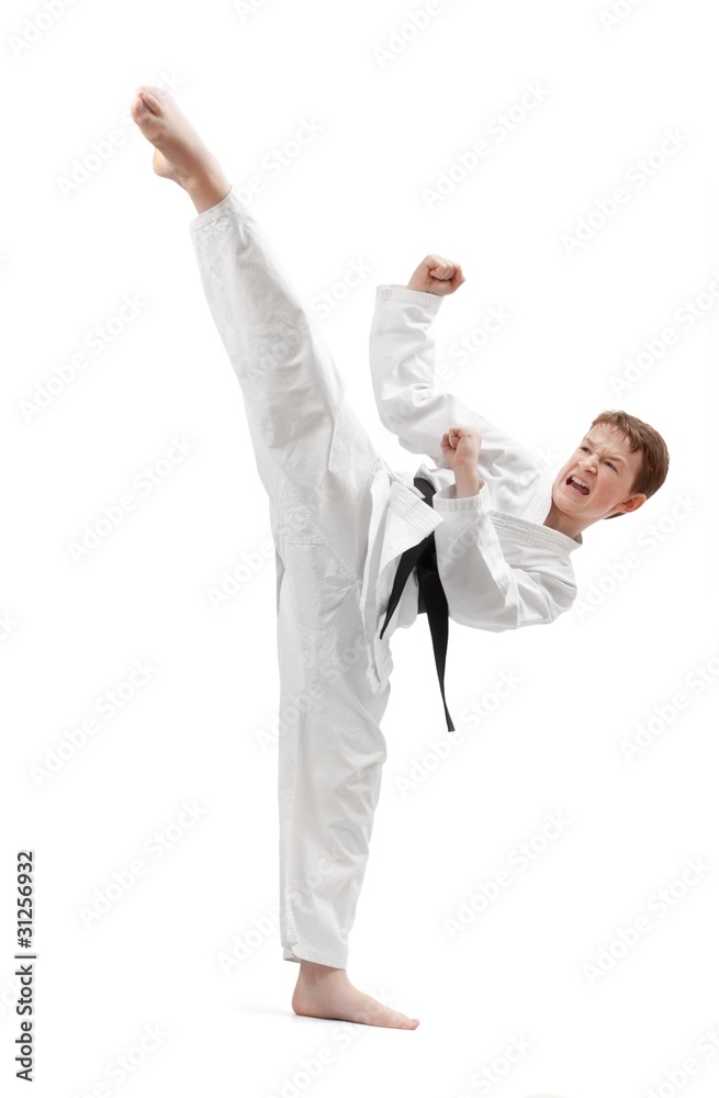 Karate Kick Stock Photo | Adobe Stock