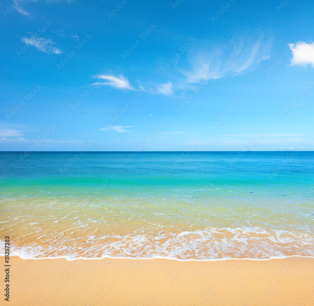 beach and tropical sea