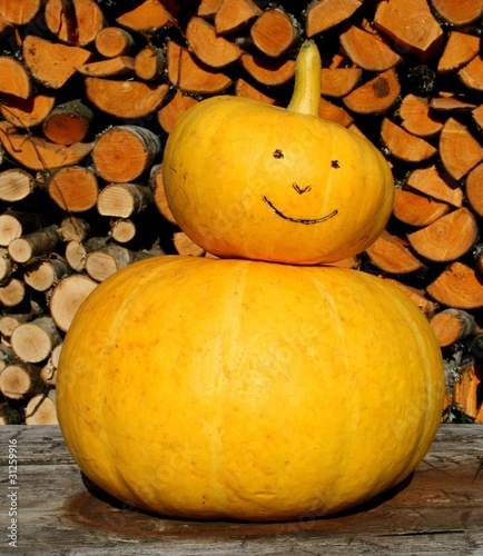 Photography cucurbit