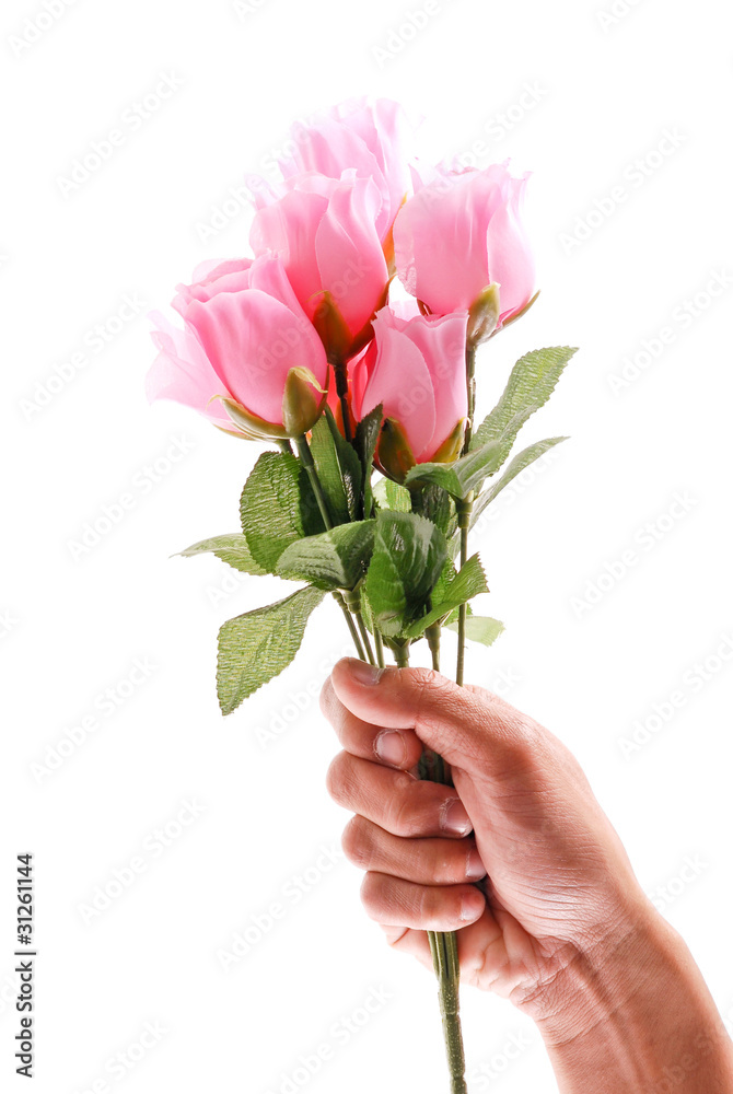 Hand Holding a Half Dozen Pink Roses