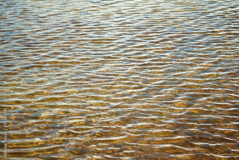 Water Ripple Water Ripple
