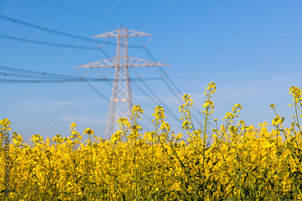 Obraz premium Electricity Pilon in the Countryside on Spring