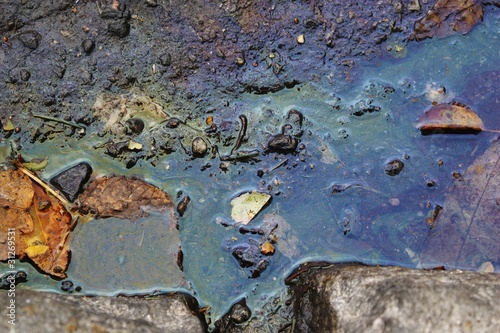 charco contaminado con aceite photo