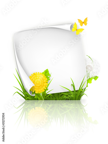 Summer frame