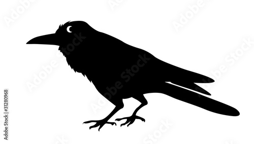 silhouette ravens on white background