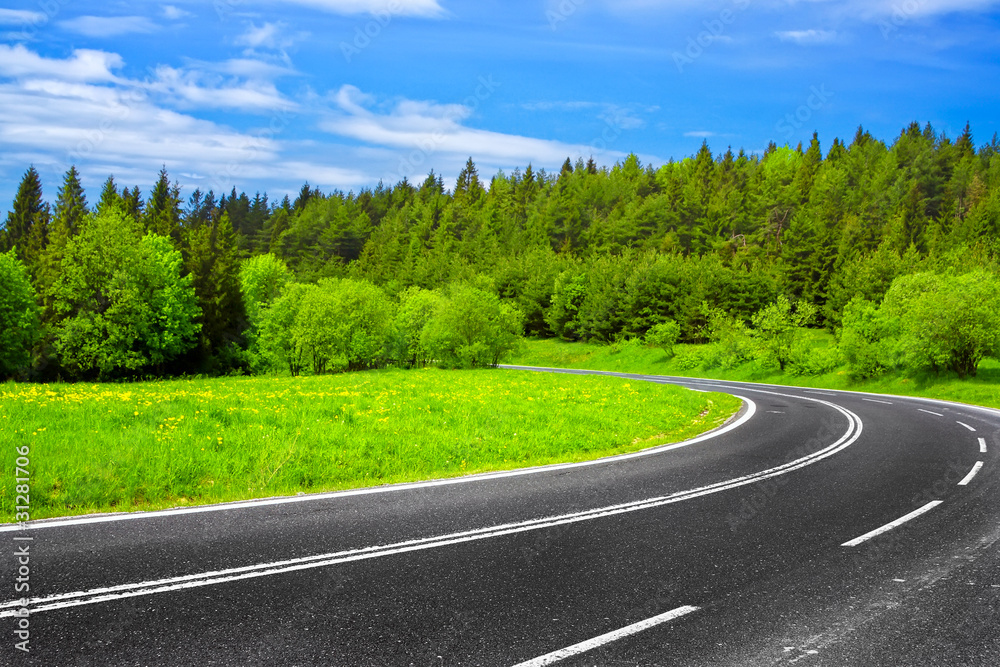 Fototapeta premium Road and green nature