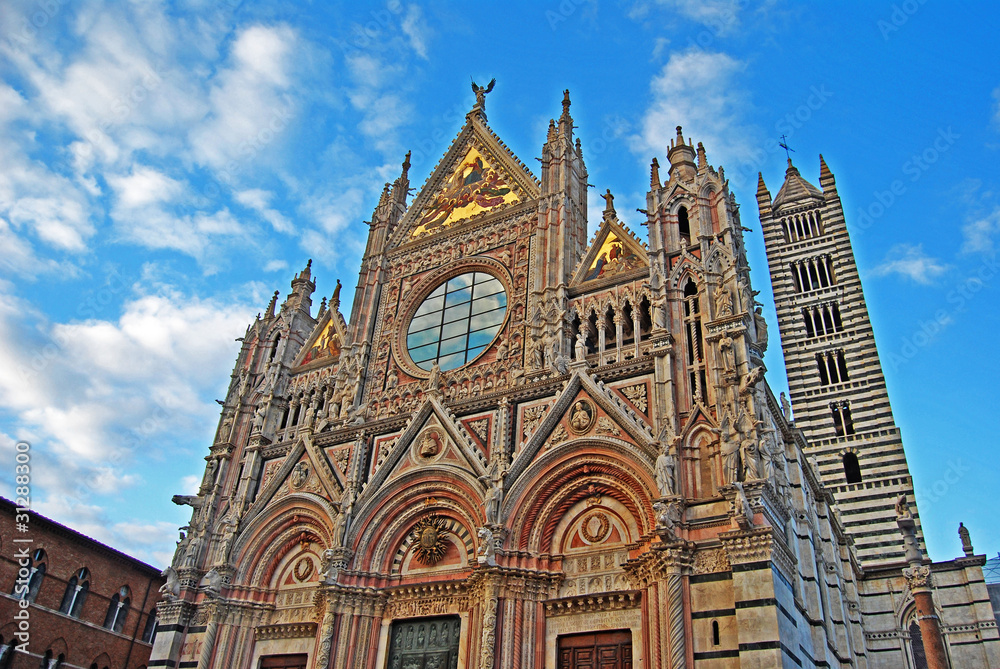Fototapeta premium Duomo Siena