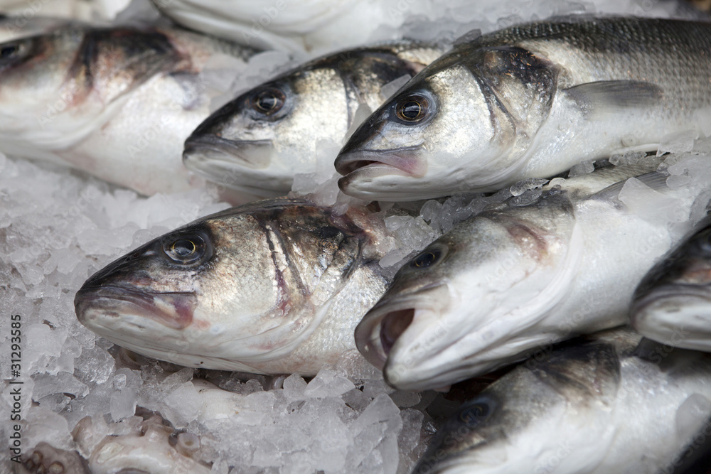 variety of fresh fish seafood in market