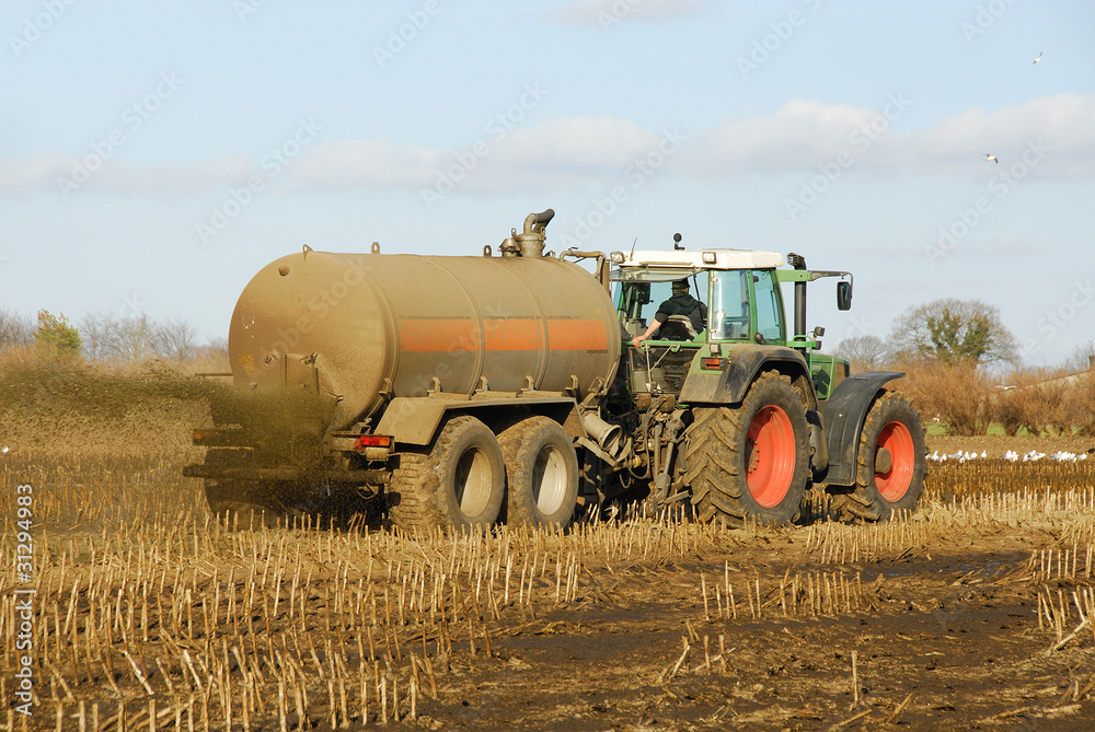 Obraz premium Traktor fährt Gülle auf das Feld 2883