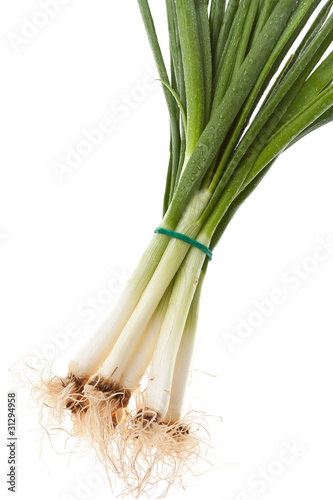 Fresh spring onions  isolated
