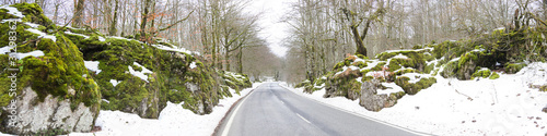 Carretera nevada (panorama) photo