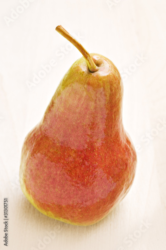 Ripe pear in autumn colors photo