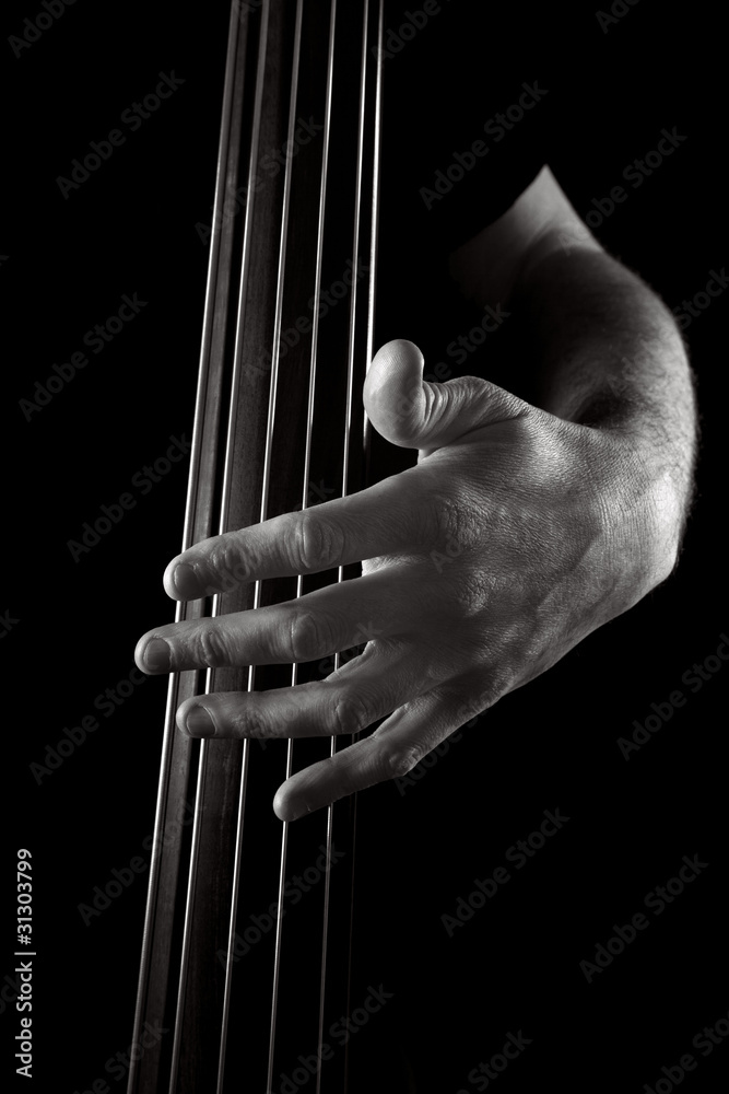 upright bass upright bass