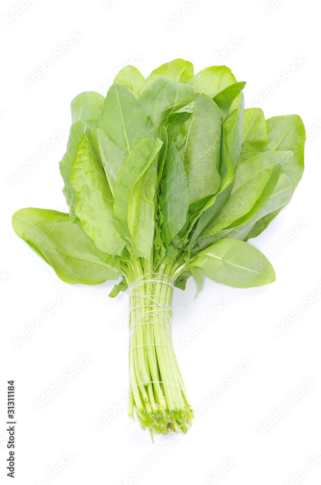 sorrel sorrel