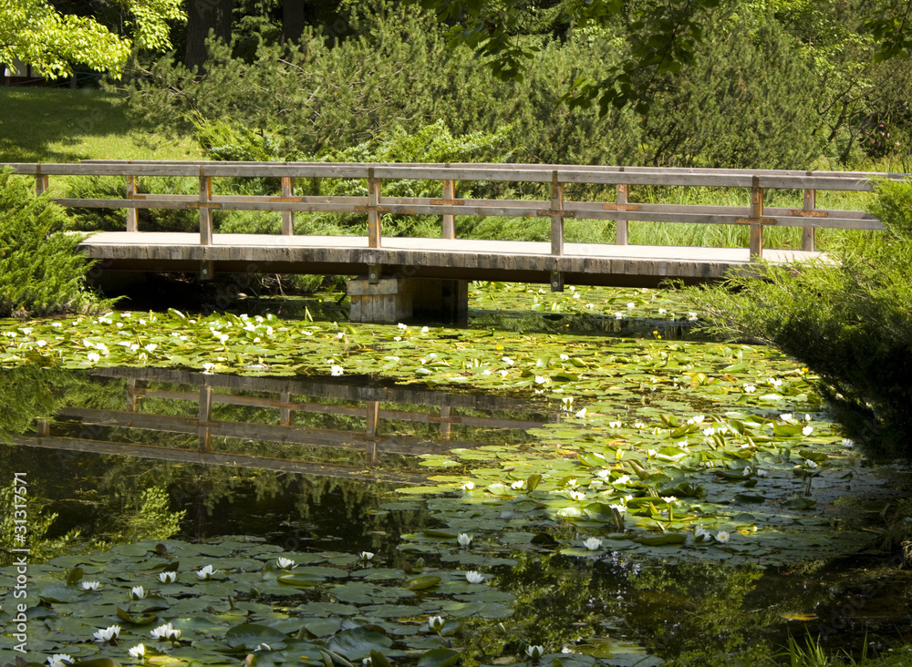Bridge and water lilies