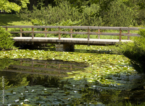 Bridge and water lilies