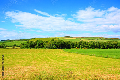 Sunny landscape with fields and blue sky
