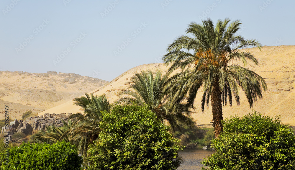 Egyptian landscape