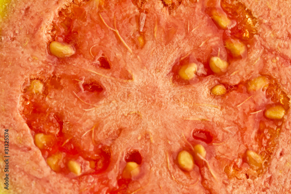 Macro closeup of a guava Macro closeup of a guava