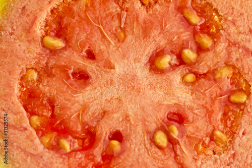 Macro closeup of a guava