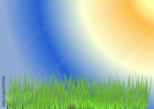 herbe verte et ciel