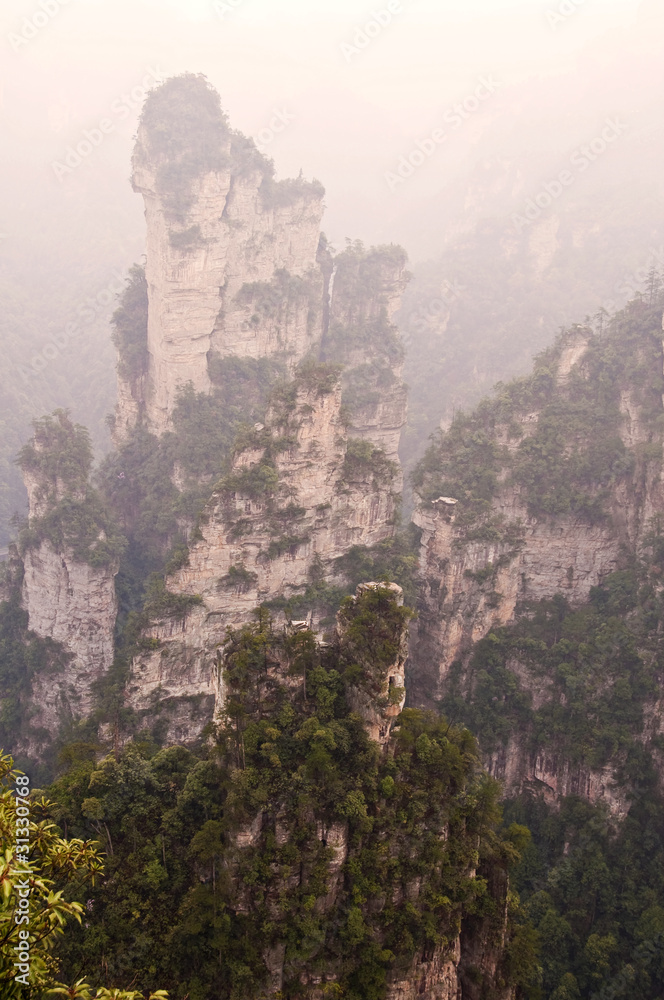 Fototapeta premium Parc national de Zhangjiajie dans le Hunan - China