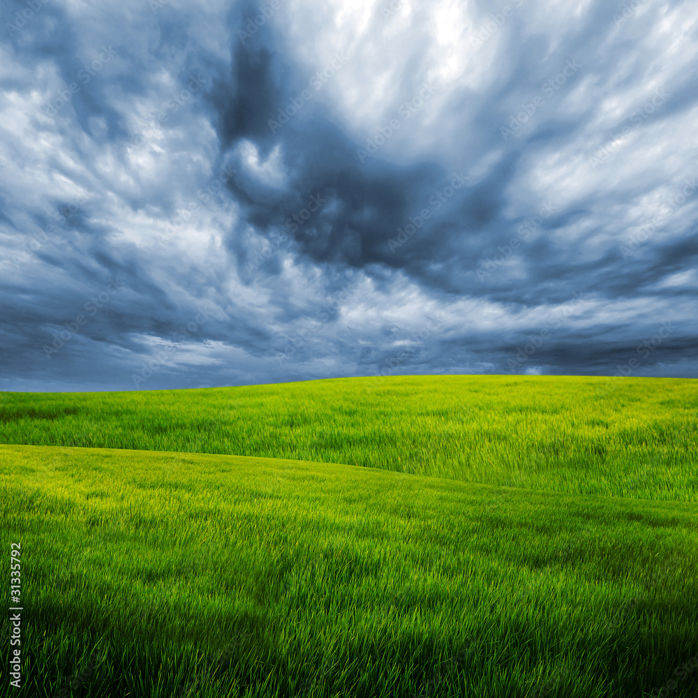 Obraz premium storm cloud over grass field