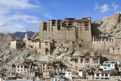 Stadtpalat Leh photo