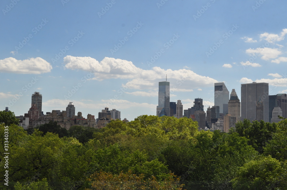 Central park - New york city
