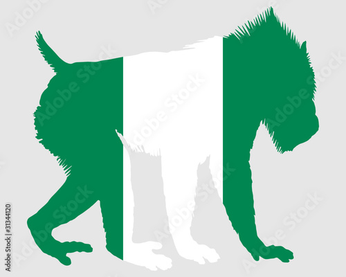 Mandrill Nigeria