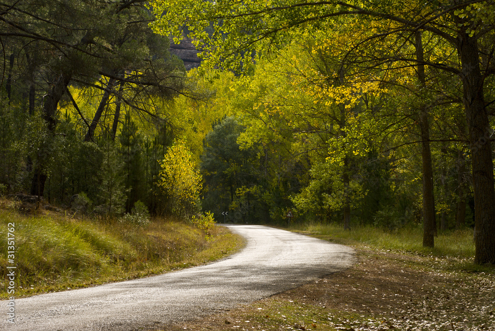 Fototapeta premium Guadalajara