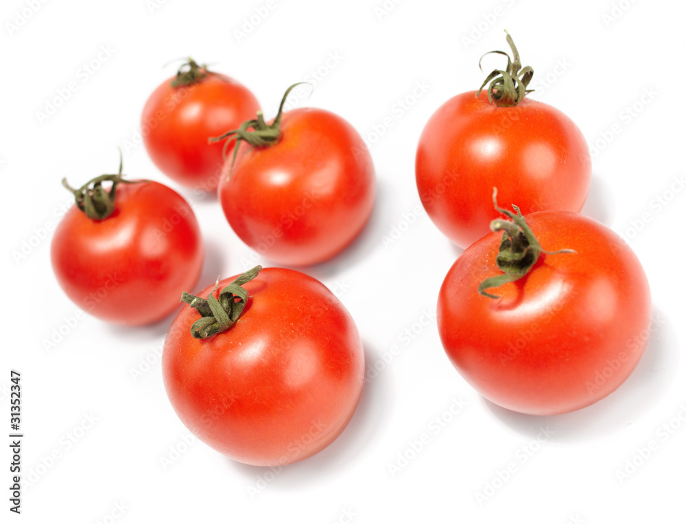 fresh tomatoes fresh tomatoes