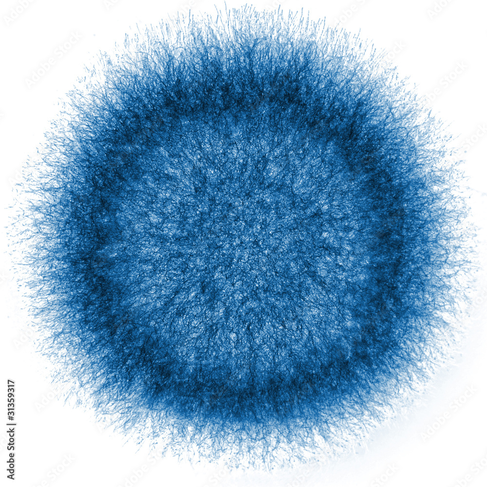 macro X-ray shot of fuzzy mold