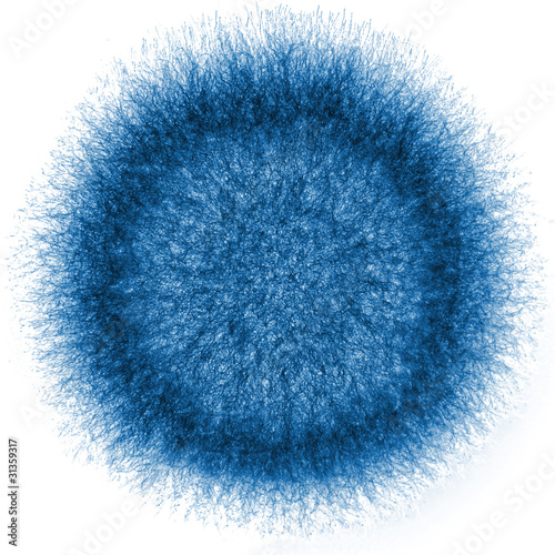 macro X-ray shot of fuzzy mold photo