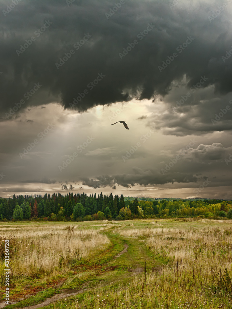 Rural landscape. Cloudy day in Siberia. Rural landscape. Cloudy day in Siberia.