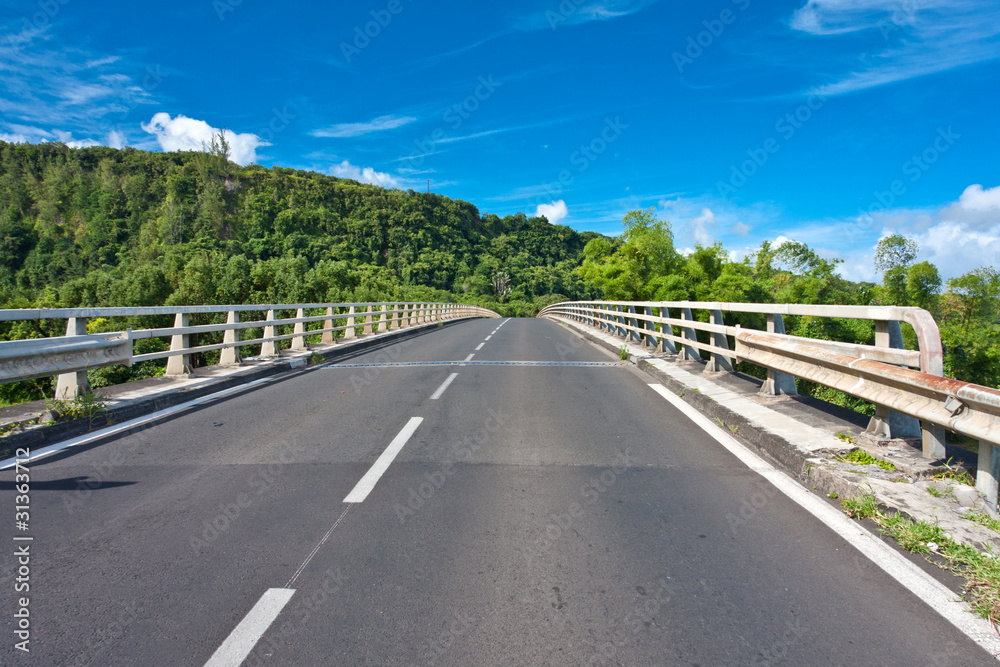 pont routier de la rivière de l'Est, île de la Réunion