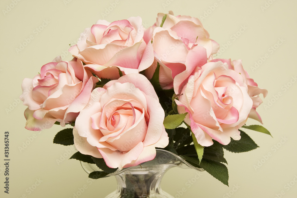 Pink Roses Pink Roses