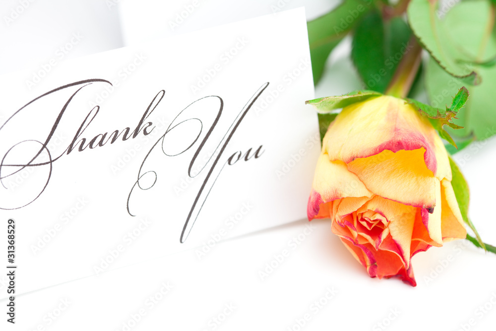Fototapeta premium yellow red rose and a card with the words thank you isolated on