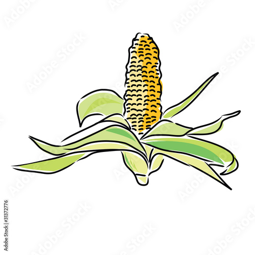 corn on the cob