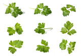 Assorted parsley