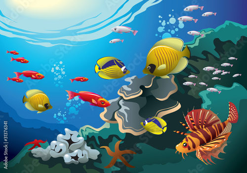 Underwater world  coral reefs  many fishes  vector