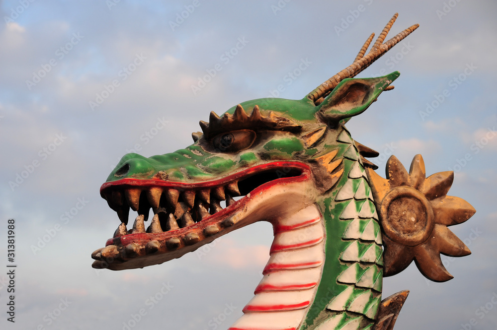 Fototapeta premium dragon-4