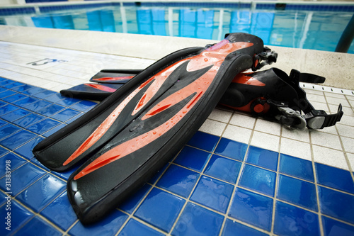Flippers