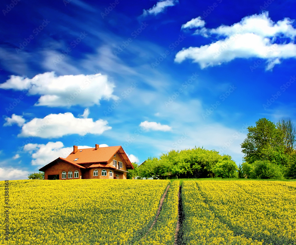 Sunny house and blue sky